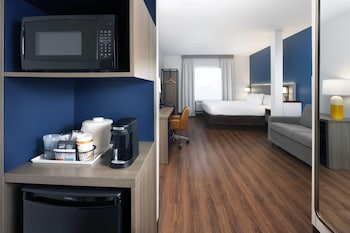 Suite, 1 King Bed with Sofa bed