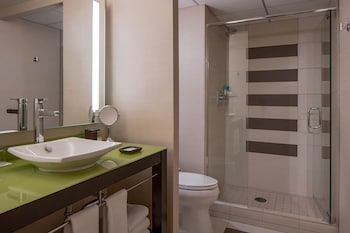 Room, 1 King Bed, Accessible (Shower)
