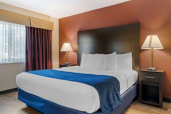 Suite, 1 King Bed, Non Smoking, Refrigerator & Microwave
