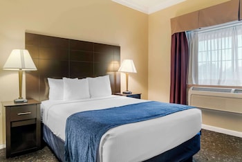 Standard Room, 1 Queen Bed, Non Smoking, Refrigerator & Microwave