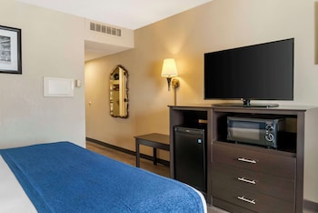 Standard Room, 1 King Bed, Non Smoking, Refrigerator & Microwave
