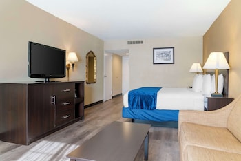 Standard Room, 1 King Bed, Non Smoking, Refrigerator & Microwave (with Sofabed)