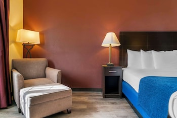 Standard Room, 1 King Bed, Non Smoking, Refrigerator & Microwave