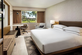 Room, 1 King Bed