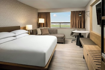 Room, 1 King Bed