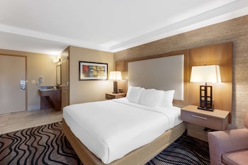 Standard Room, 1 King Bed, Accessible, Refrigerator