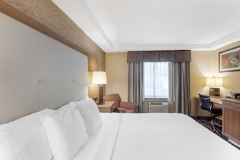 Standard Room, 1 King Bed, Accessible, Refrigerator