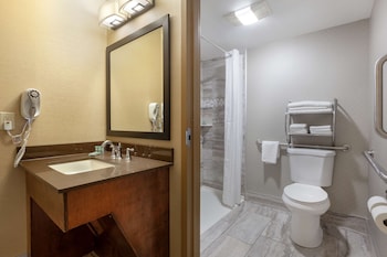 Standard Room, 1 King Bed, Accessible, Refrigerator