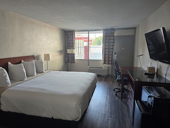 Room, 1 King Bed, Smoking