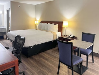 Room, 1 King Bed, Accessible Bathtub, Smoking
