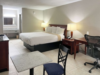 Room, 1 King Bed, Smoking