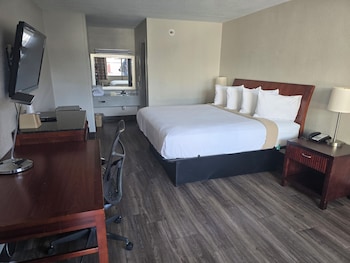 Room, 1 King Bed, Smoking