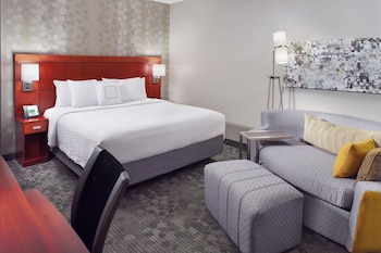 Room, 1 King Bed with Sofa bed (Hearing Accessible)