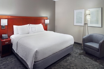 Suite, 1 King Bed with Sofa bed