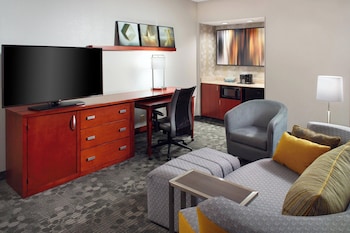Suite, 1 King Bed with Sofa bed