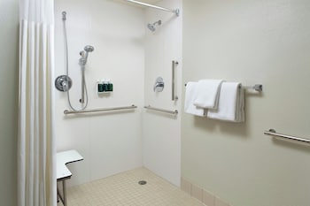 Room, 1 King Bed with Sofa bed (Mobility/Hearing Access, Roll-In Shwr)
