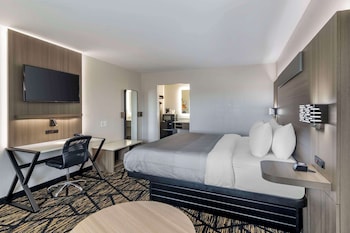 Standard Room, 1 King Bed, Non Smoking