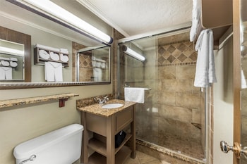 Standard Room, 1 King Bed, Non Smoking, Refrigerator & Microwave