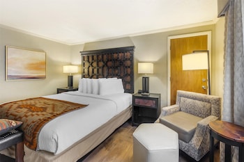 Standard Room, 1 King Bed, Non Smoking, Refrigerator & Microwave
