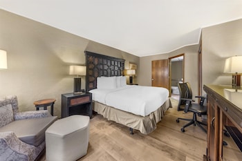 Standard Room, 1 King Bed, Accessible, Non Smoking