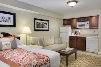 Traditional Studio Suite, 1 Queen Bed with Sofa bed, Non Smoking