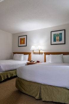 Suite, Multiple Beds, Kitchenette (2 Double Beds, Sofa Bed)