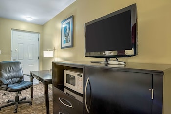 Standard Room, 1 King Bed, Pet Friendly, Non Smoking