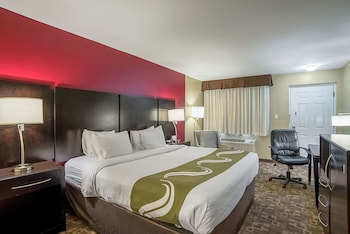 Standard Room, 1 King Bed, Pet Friendly, Non Smoking