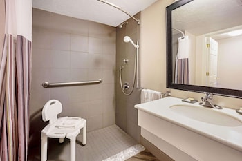 Room, 1 King Bed, Accessible, Non Smoking (Mobility Accessible)