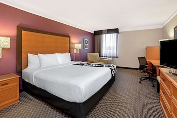 Room, 1 King Bed