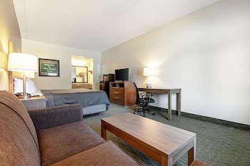 Room, 1 King Bed, Accessible, Non Smoking