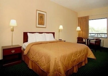 Room, 1 King Bed with Sofa bed, Non Smoking (1 person sofabed)