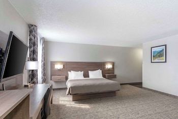 Single Room, 1 Queen Bed, Non Smoking