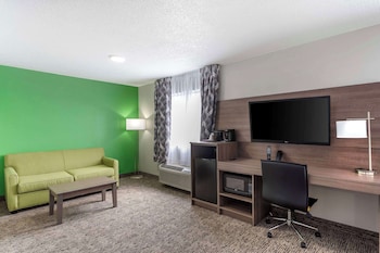 Standard Room, 1 King Bed, Non Smoking