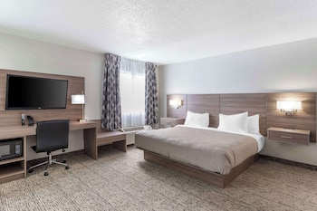 Standard Room, 1 King Bed, Non Smoking