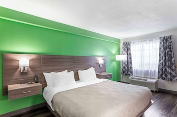 Single Room, 1 King Bed, Non Smoking
