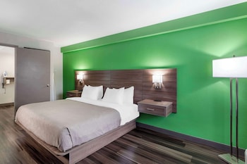 Single Room, 1 King Bed, Non Smoking