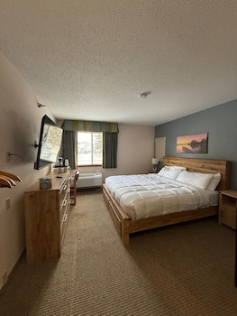 Gull Lake ADA King with Kitchenette