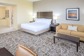 Room, 1 King Bed with Sofa bed