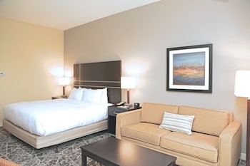 Room, 1 King Bed with Sofa bed