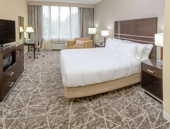Room, 1 King Bed