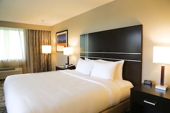 Room, 1 King Bed