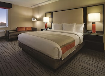 Room, 1 King Bed