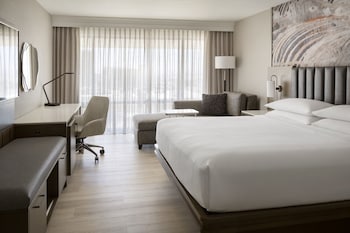 Deluxe Room, 1 King Bed (Mobility Accessible, Roll-in Shower)