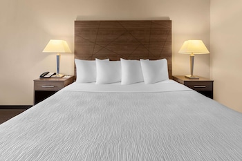 Room, 1 King Bed, Non Smoking