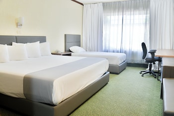 Standard Room, Accessible