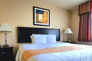 Standard Room, 1 King Bed, Accessible Roll-In Shower, Non Smoking