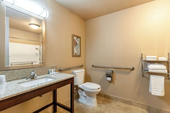 Room, 1 Queen Bed, Non Smoking (Roll-In Shower)