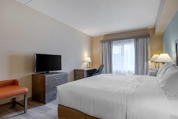 Standard Room, 1 King Bed, Non Smoking