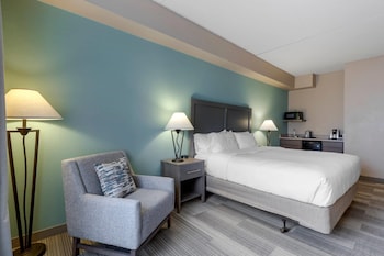 Standard Room, 1 King Bed, Non Smoking